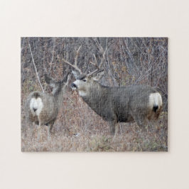 Puzzle Cerf mulet mâle et femelle D29