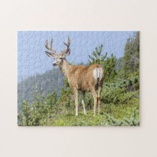 Puzzle Cerfs communs majestueux