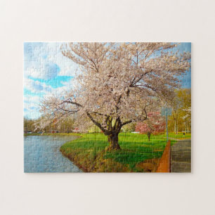 Puzzle Cerisier en Fleur New Jersey.