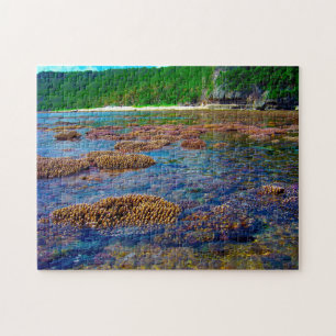 Puzzle Cetti Bay Guam.