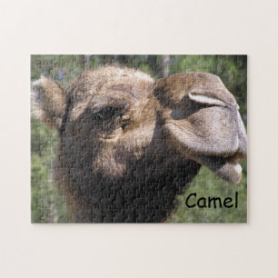 Puzzle Chameau boudant