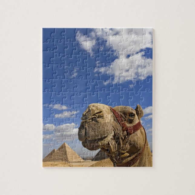 Puzzle Chameau devant les pyramides de Gizeh, Égypte, (Vertical)