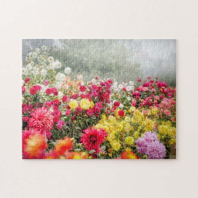 Puzzle Champ de fleurs de Dahlia (Horizontal)