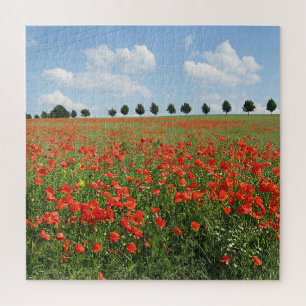 Puzzle Champ de pavot en fleurs