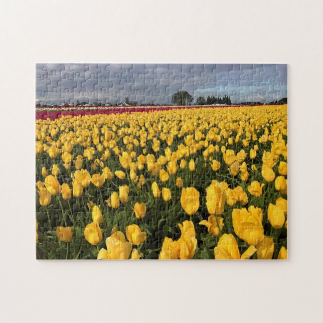 Puzzle Champ de tulipe jaune et rouge, Oregon (Horizontal)
