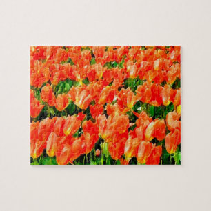 Puzzle Champ orange de tulipes