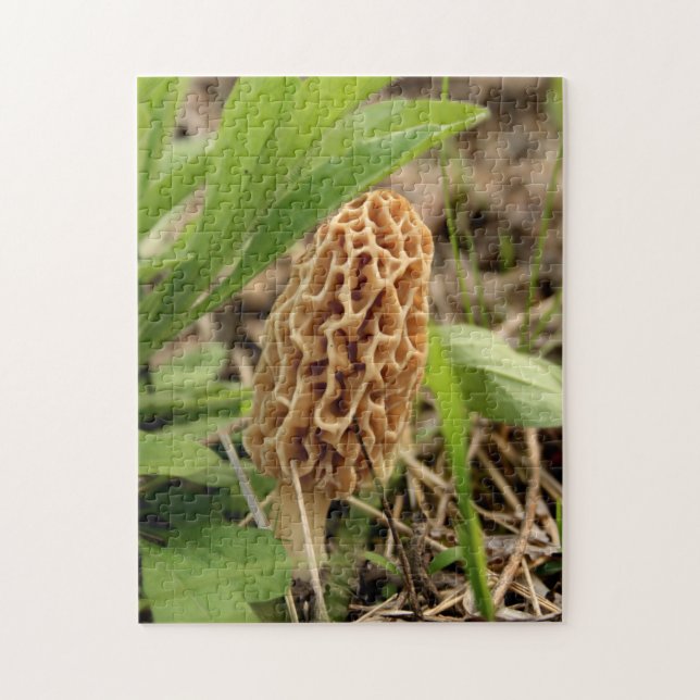 Puzzle Champignon de morelle (Vertical)