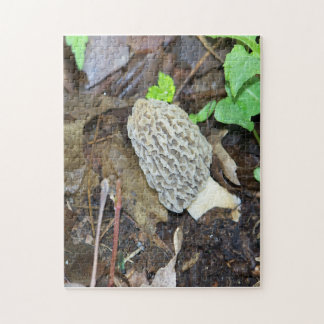 Puzzle Champignons Grey Morel