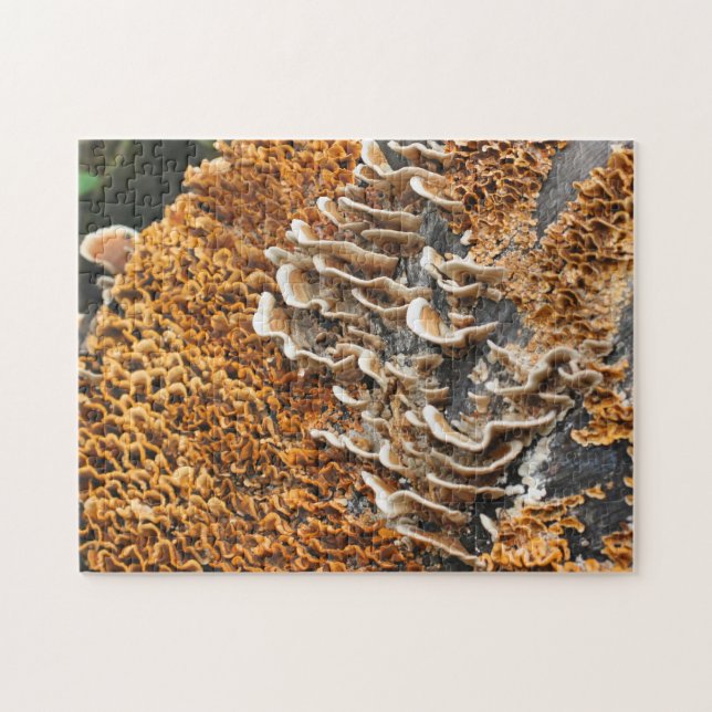 Puzzle Champignons Sauvages Sur La Nature Du Bois (Horizontal)