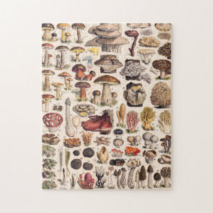 Puzzle Champignons vintages Par Adolphe Millot