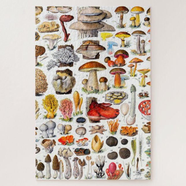 PUZZLE CHAMPIONNATS 2 (Vertical)