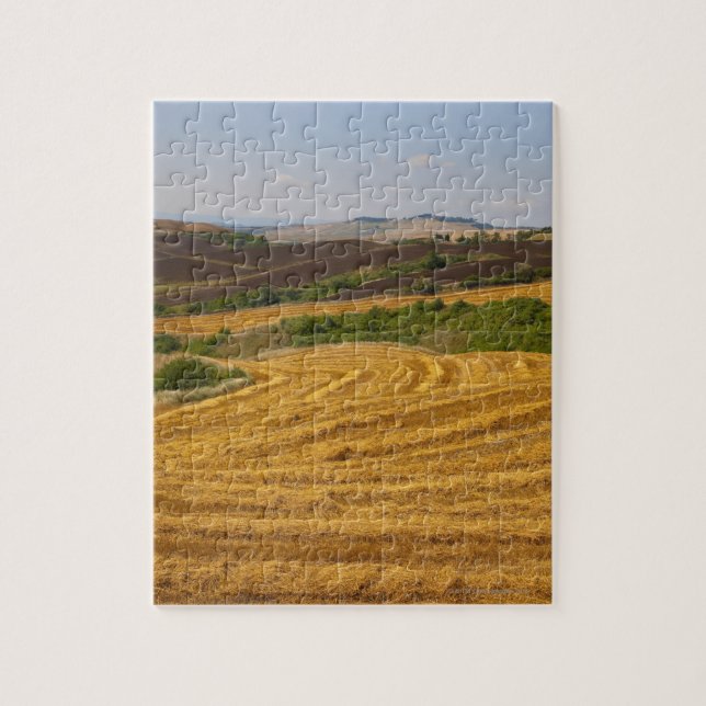 Puzzle Champs de blé après récolte (Vertical)
