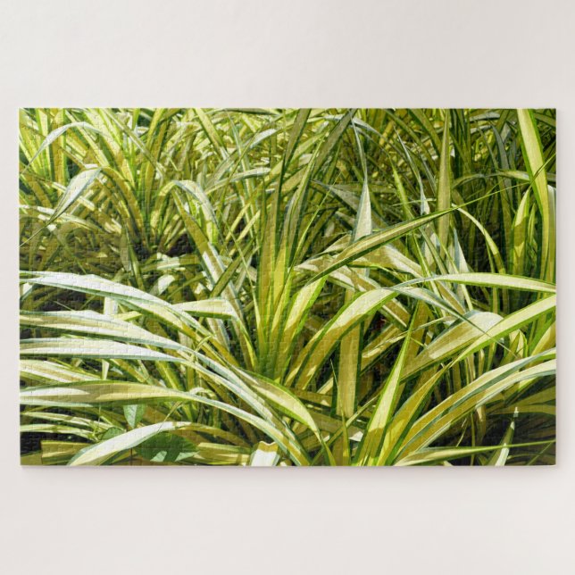 Puzzle Chanson indienne (Horizontal)