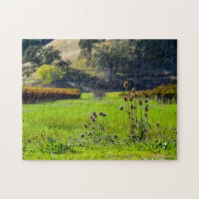 Puzzle Chardon dans un vignoble (Horizontal)