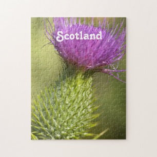 Puzzle Chardon de l'Ecosse