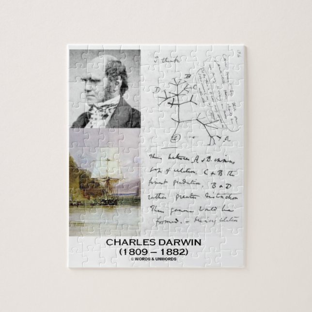 Puzzle Charles Darwin (beagle Phylogenetics de voie HMP (Vertical)