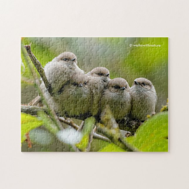 Puzzle Charme de coeur Cute Bushtits Songbirds Photo de f (Horizontal)