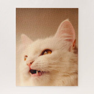 Puzzle Chat Angora turc.
