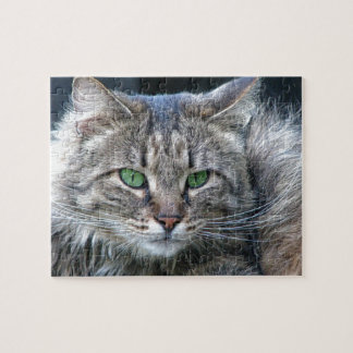 Puzzle Chat aux yeux verts pelucheux de Kitty de tigre