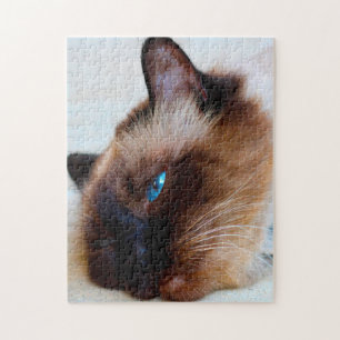 Puzzle Chat birman.
