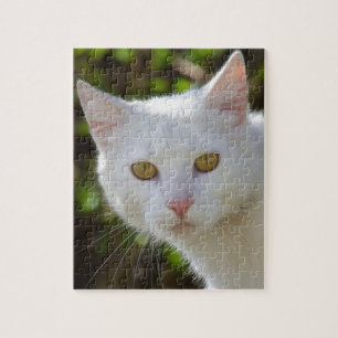 Puzzle Chat blanc aux yeux jaunes