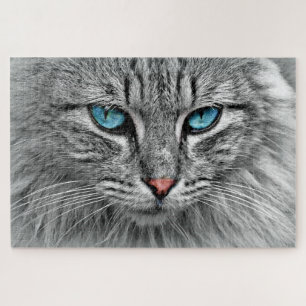 Puzzle Chat bleu