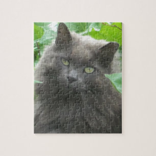 Puzzle Chat bleu russe gris-long