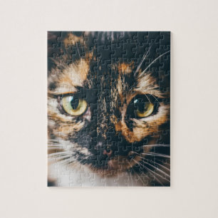 PUZZLE CHAT CALICO