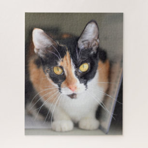 Puzzle Chat Calico aux yeux jaunes
