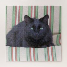 Puzzle - Chat confortable sur Cushion