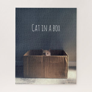 Puzzle Chat dans une boîte. Le maître du chat Zen.
