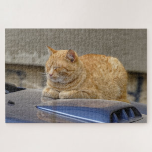 Puzzle Chat endormi