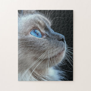 Puzzle Chat gris aux yeux bleus
