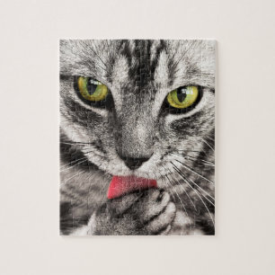 Puzzle Chat gris avec cuisse des yeux jaunes