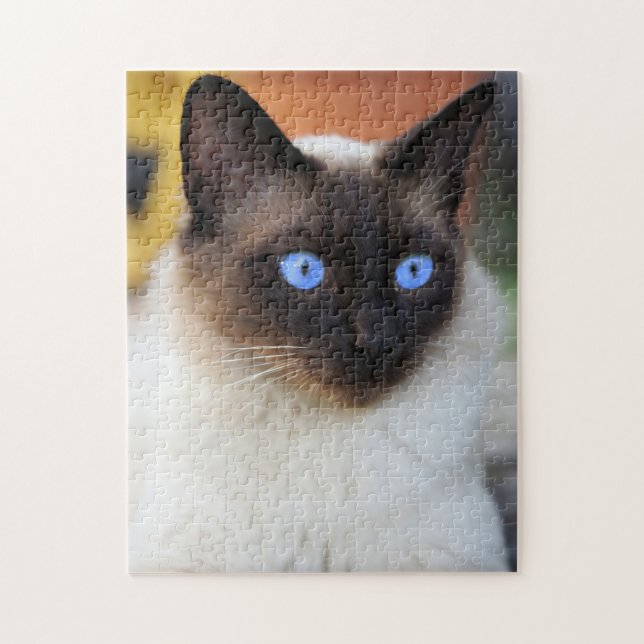 Puzzle Chat kitty siamois avec de beaux grands yeux bleus (Vertical)