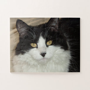 Puzzle Chat long Haired noir et blanc
