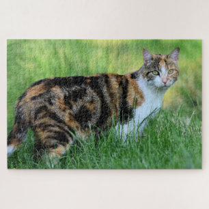 Puzzle Chat marron et blanc