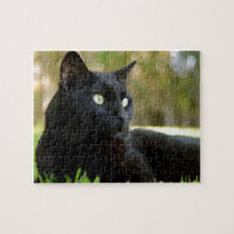 Chat noir aux yeux verts appréciant l'extérieur