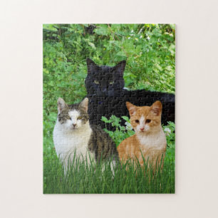 Puzzle Chat noir Chat tigré Des chats amusants dans le ja