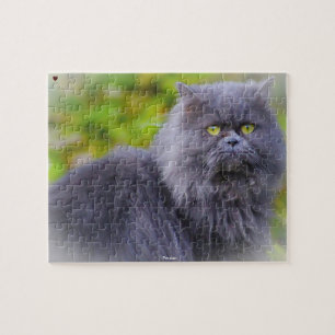 Puzzle Chat Persan