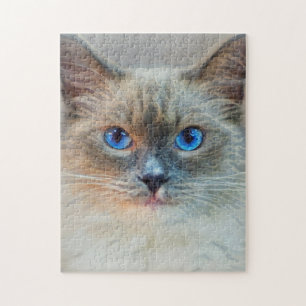Puzzle Chat siamois aux yeux bleus