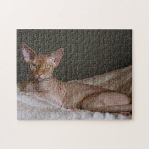 Puzzle Chat Sphinx sans cheveux