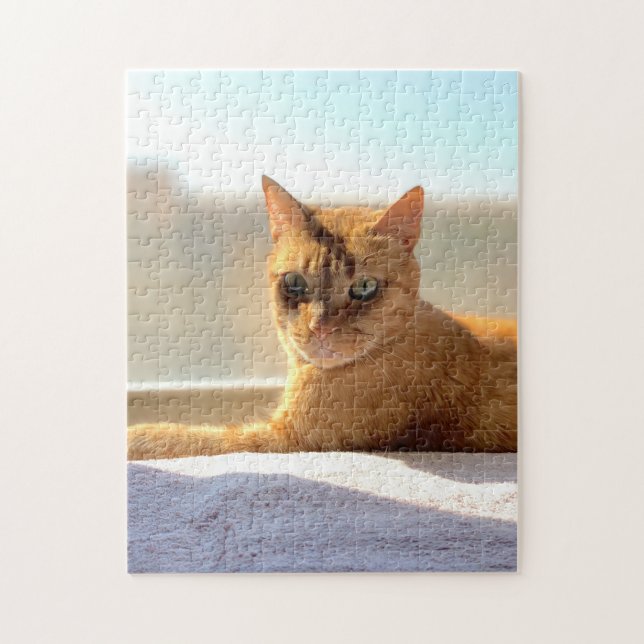 Puzzle Chat Tabby Orange (Vertical)