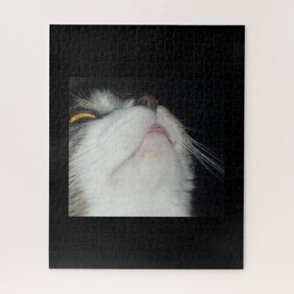 Puzzle Chat tigré regardant vers le haut en gros plan sur