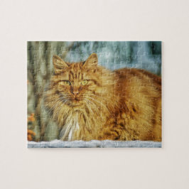 Puzzle Chat viril orange aux cheveux longs pelucheux