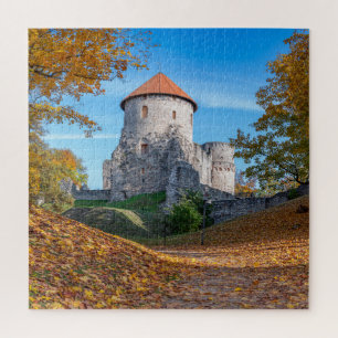 Puzzle Château médiéval entouré de forêt