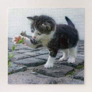 Puzzle Chaton joueur