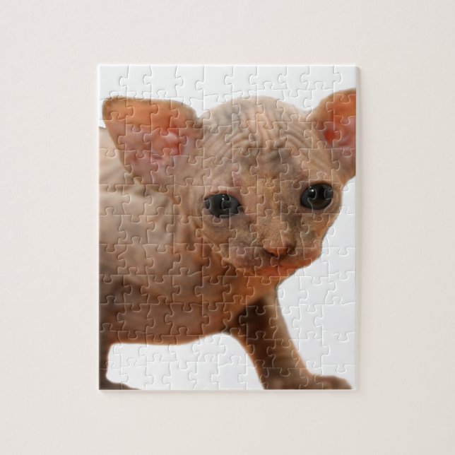 Puzzle Chaton nouveau-né mignon de sphynx (Vertical)