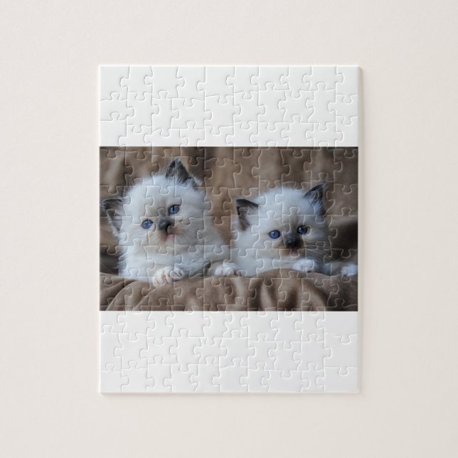 Puzzle Chatons de Ragdoll (Vertical)