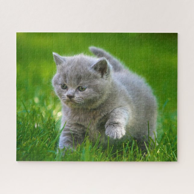 Puzzle - Chatons en jeu (Horizontal)